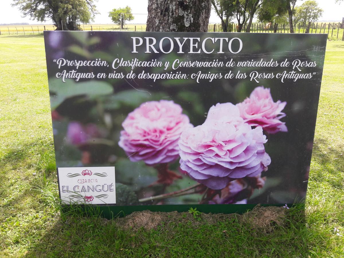 Estancia El Cangue Porvenir Eksteriør bilde